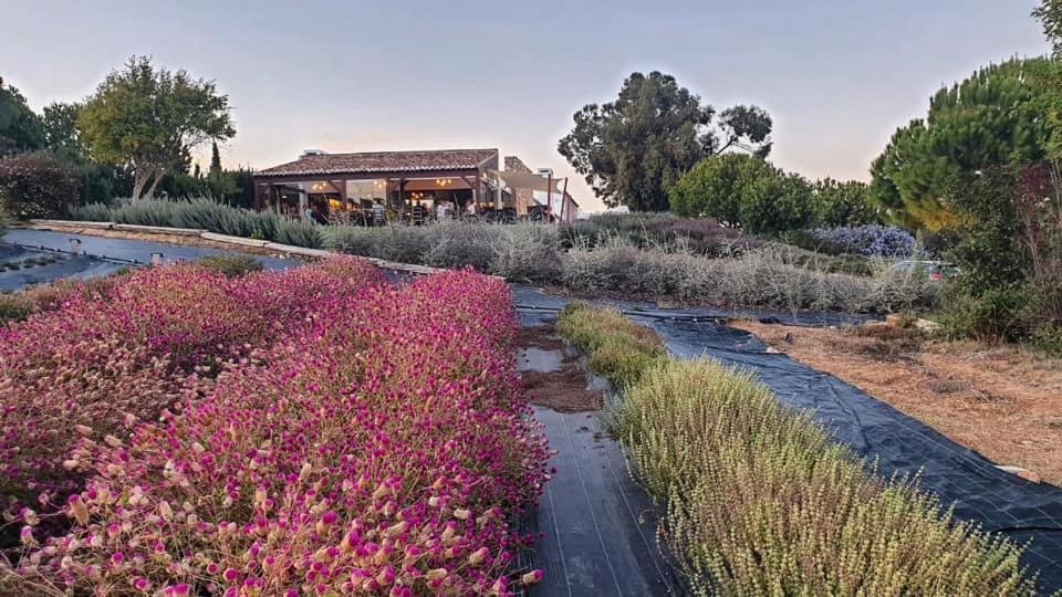 Quinta Do Mel Pensionat Albufeira Exteriör bild